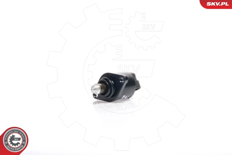 Idle Control Valve, air supply